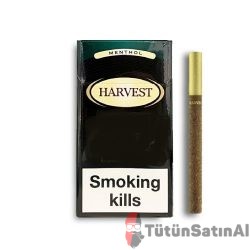 Harvest Sweet Menthol Little